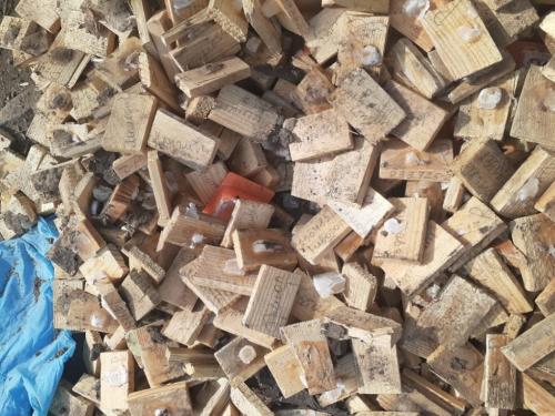 Страшная находка: в Омском СНТ обнаружили россыпи человеческого биоматериала Страшная находка: в Омском СНТ обнаружили россыпи человеческого биоматериала