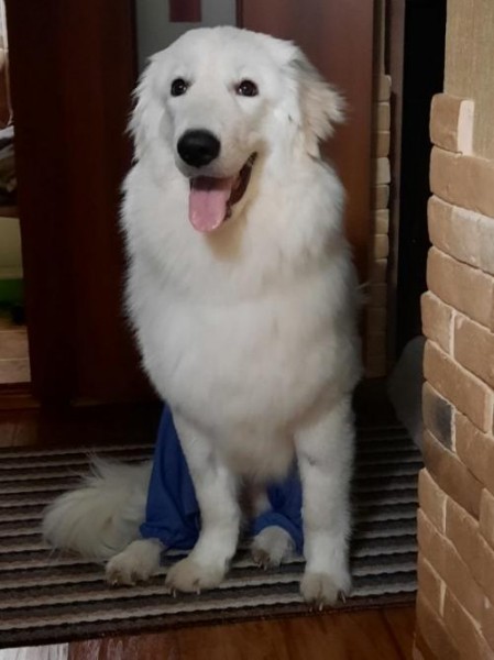 Дмитрий Потопальский: «Есть способ уменьшить заболеваемость СМА» Дмитрий Потопальский: «Есть способ уменьшить заболеваемость СМА»