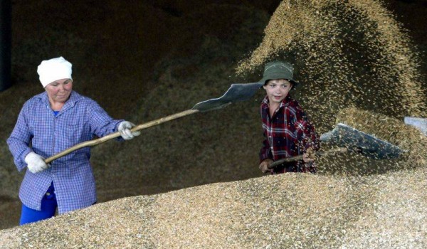 
									Омская область намерена обеспечить себя продуктами 