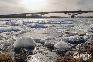 Сергей Яшин, матч НХЛ и уровень воды в Иртыше. Что ищут омичи в интернете 13 апреля