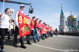 Трафареты к 9 мая,&nbsp;AYYA T1 и календарь садовода. Что ищут омичи в интернете 26 апреля