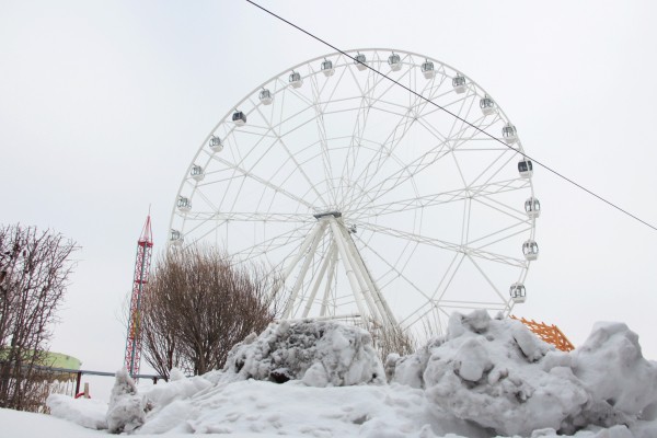 
									От невольничьего рынка до «Диснейленда»: что будет с омским парком «Зеленый остров»?    [ФОТО]  