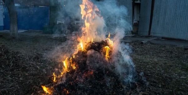 Омичам запретили разводить костры в лесах и использовать мангалы на дачах
