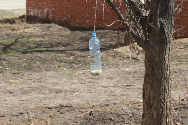 
									Жизнь в омских новостройках: школьники из «Амура-2» передают большой привет   [ФОТО]  