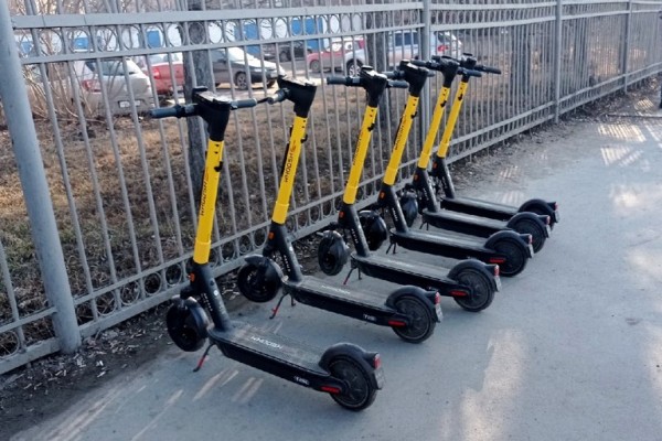 
									Шелест проведет встречу с самокатчиками из Whoosh 