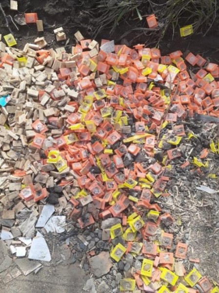 Страшная находка: в Омском СНТ обнаружили россыпи человеческого биоматериала Страшная находка: в Омском СНТ обнаружили россыпи человеческого биоматериала