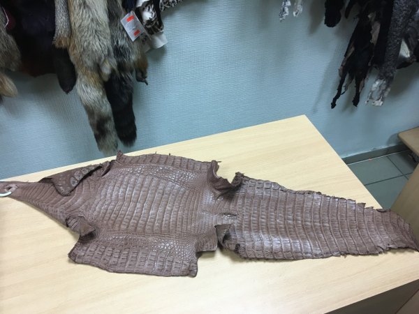 
									Новая не по карману: омичи массово ремонтируют одежду и обувь 