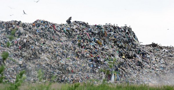 
									В Омской области обнаружили десяток незаконных свалок 
