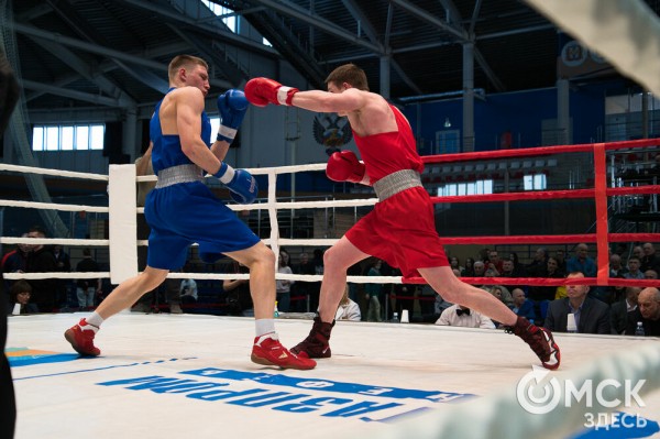 Омские боксёры отличились на турнире Тищенко