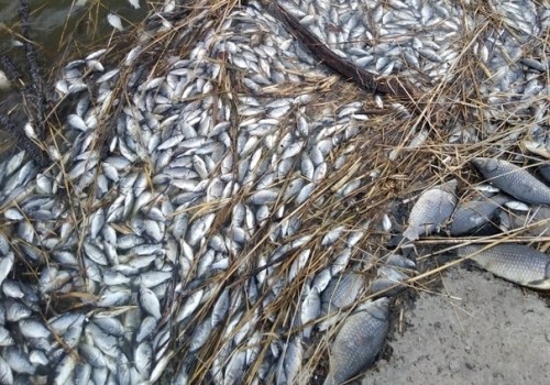 Омский Калачинск, пожалуй, самое безопасное место для казнокрадов и жуликов в России. Или нет? Омский Калачинск, пожалуй, самое безопасное место для казнокрадов и жуликов в России. Или нет?