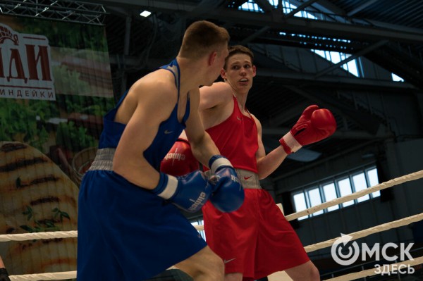 Омские боксёры отличились на турнире Тищенко