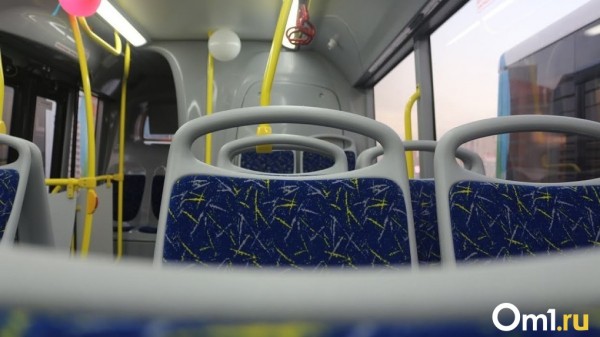 В Омске в несколько раз увеличили штраф за проезд без билета В Омске в несколько раз увеличили штраф за проезд без билета