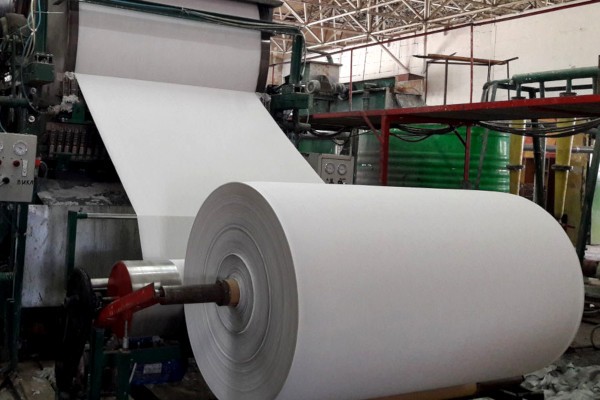 Экономист предложил выпускать каменную туалетную бумагу  
									Экономист предложил выпускать каменную туалетную бумагу