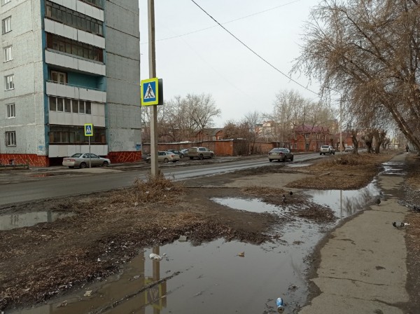 
									Потоп и мусор кругом: почему весной Омск такой грязный?    [ФОТО]  