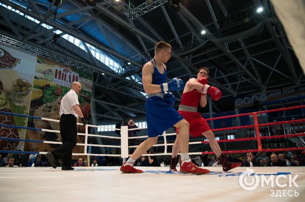 Омские боксёры отличились на турнире Тищенко