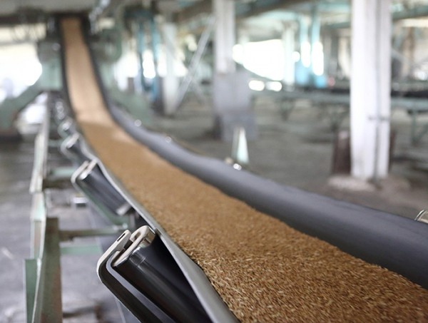 
									Алексей ДАВЫДОВ: «Омичи не останутся без мяса птицы и свинины» 