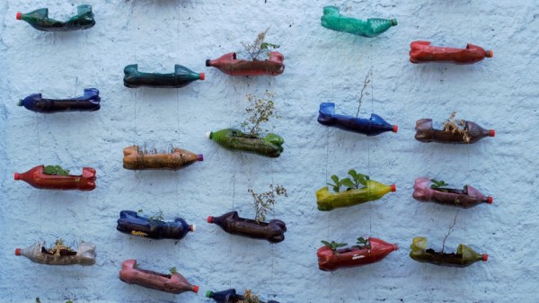 Омские экоактивисты открывают бесплатный пункт приёма вторсырья Омские экоактивисты открывают бесплатный пункт приёма вторсырья