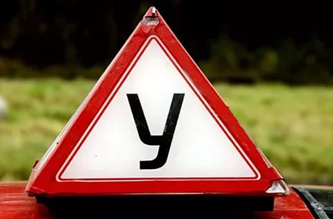 
									Экзамен на права сдает лишь 1 из 5 учеников автошкол 