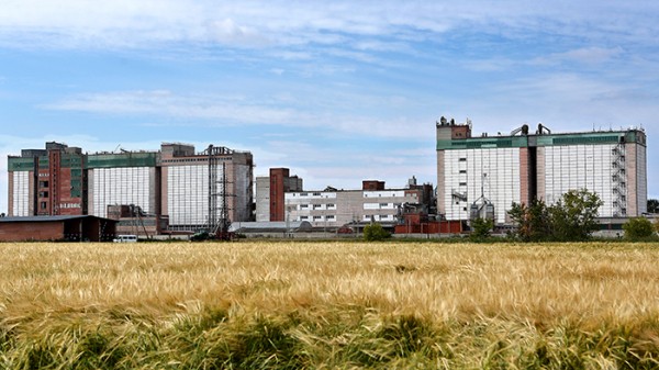 
									Алексей ДАВЫДОВ: «Омичи не останутся без мяса птицы и свинины» 