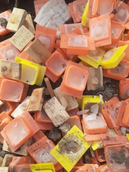 Страшная находка: в Омском СНТ обнаружили россыпи человеческого биоматериала Страшная находка: в Омском СНТ обнаружили россыпи человеческого биоматериала