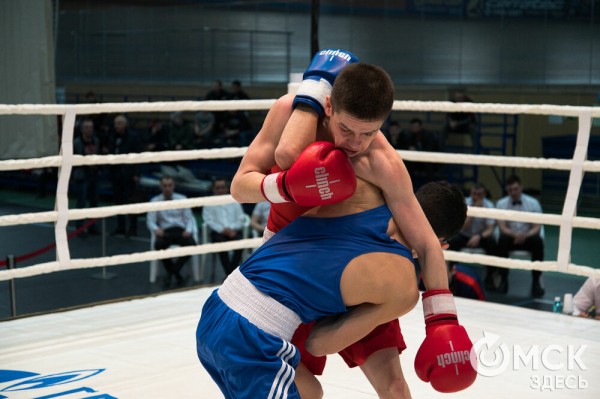 Омские боксёры отличились на турнире Тищенко