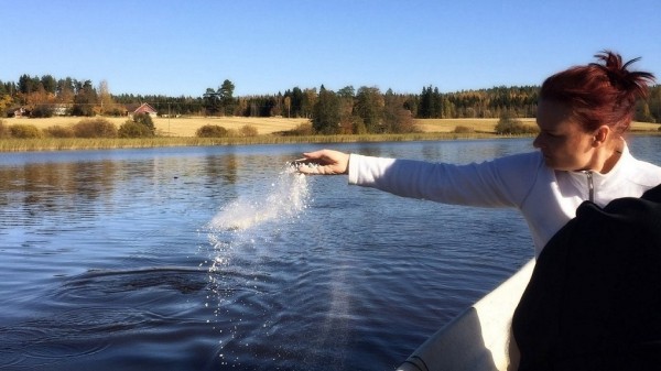 Будет ли крематорий в Омске? Мэр Сергей Шелест дал ответ Будет ли крематорий в Омске? Мэр Сергей Шелест дал ответ