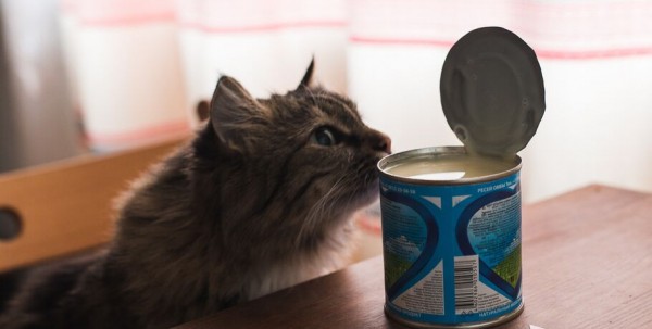 Омское предприятие изготовило гигантскую банку варёной сгущёнки