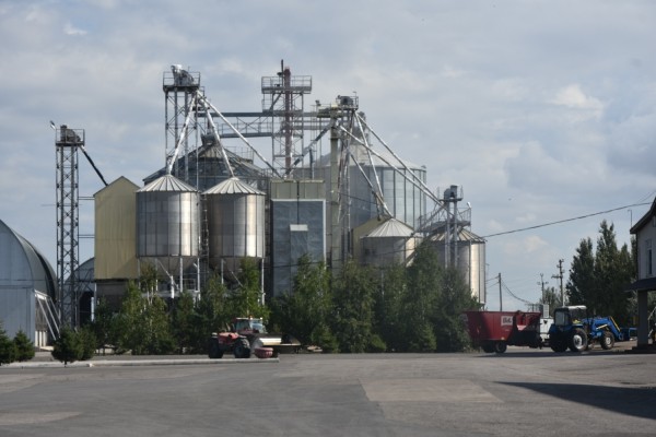 
									Как санкции и Байден влияют на стоимость капусты в Омске? 