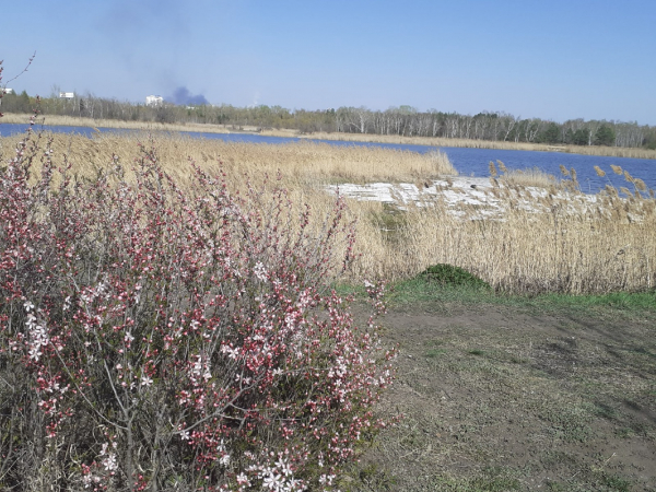
									Какие тайны скрывает омский Парк Победы?   [ФОТО]  