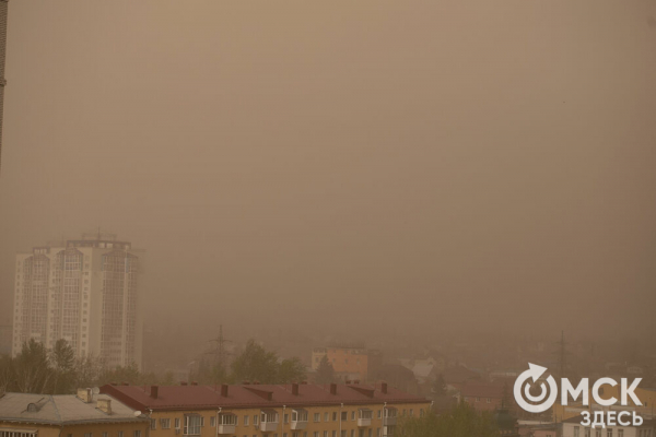 Пыльная буря и остановившиеся пароходы: последствия омской непогоды Пыльная буря и остановившиеся пароходы: последствия омской непогоды