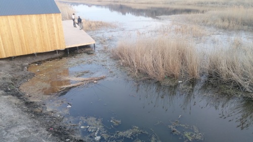 Калачинская «движуха» или что ждет «парк мечты» Мецлера? Калачинская «движуха» или что ждет «парк мечты» Мецлера?