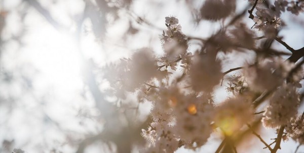 В Омске 9 мая снова будет тепло