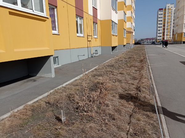 
									Жизнь в омских новостройках: школьники из «Амура-2» передают большой привет   [ФОТО]  