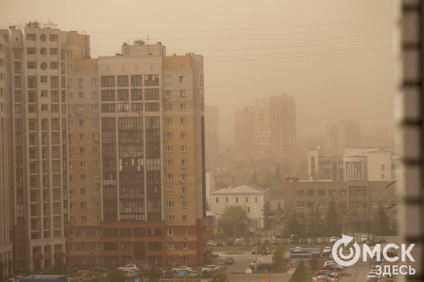 Пыльная буря и остановившиеся пароходы: последствия омской непогоды Пыльная буря и остановившиеся пароходы: последствия омской непогоды