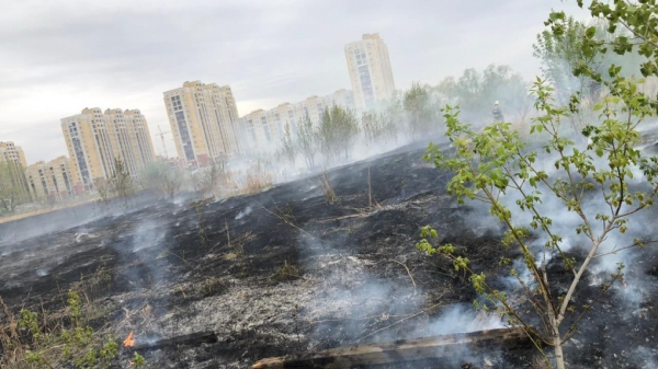 В Омске двоих детей застали на поджоге травы у жилых домов В Омске двоих детей застали на поджоге травы у жилых домов