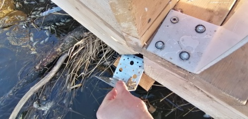 Калачинская «движуха» или что ждет «парк мечты» Мецлера? Калачинская «движуха» или что ждет «парк мечты» Мецлера?