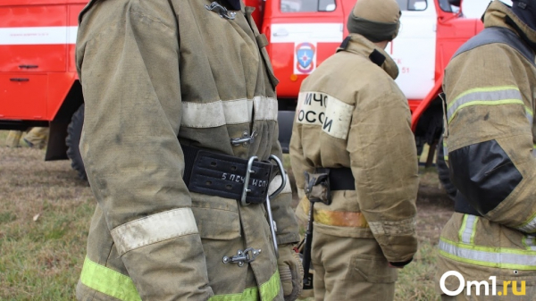 В омском СНТ «Дружба» выгорели пять хозпостроек и трава на площади 1000 квадратных метров В омском СНТ «Дружба» выгорели пять хозпостроек и трава на площади 1000 квадратных метров