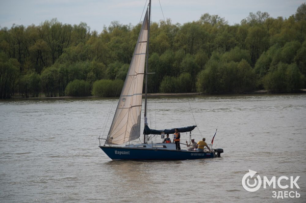 Более тысячи омичей прошли в "Бессмертном полку"