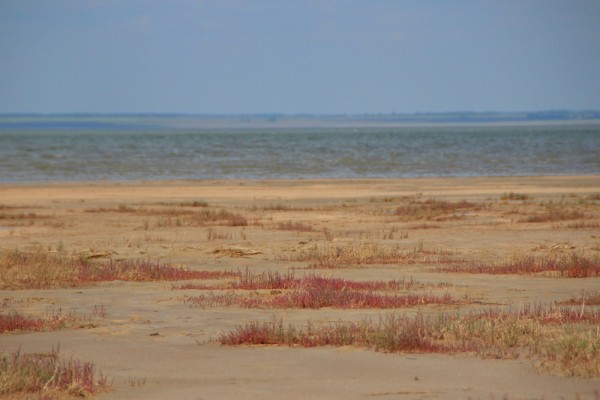 От Эбейты до Больших Уков: где отдохнуть летом, не покидая Омской области?
От Эбейты до Больших Уков: где отдохнуть летом, не покидая Омской области?
