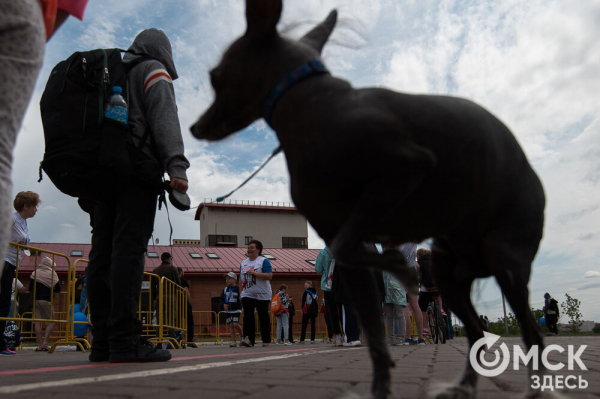 Эмоциональный "ЗаБЕГ" в Омске прошёл всероссийский полумарафон 