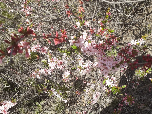
									Какие тайны скрывает омский Парк Победы?   [ФОТО]  