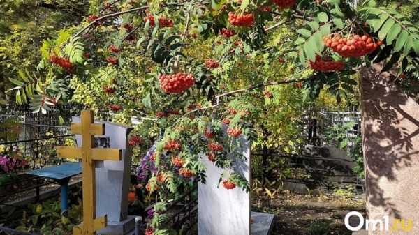 Омский Минздрав обнародовал информацию о вымирающих районах Омской области