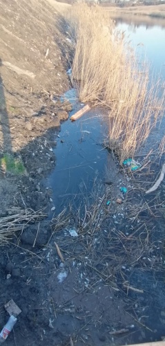 Калачинская «движуха» или что ждет «парк мечты» Мецлера? Калачинская «движуха» или что ждет «парк мечты» Мецлера?