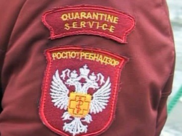 
									Роспотребнадзор отрицает обнаружение холеры в Омске 