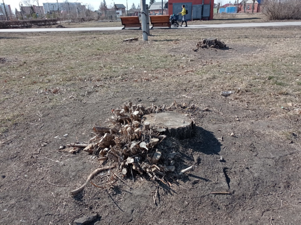 
									Торчащая арматура и провалившаяся плитка: как обновленные омские парки пережили зиму?   [ФОТО]  