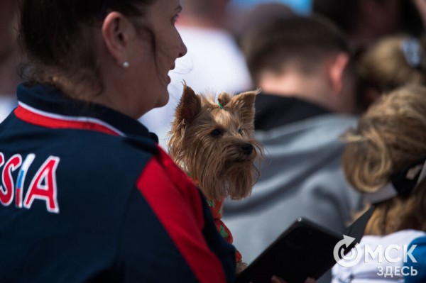 Эмоциональный "ЗаБЕГ" в Омске прошёл всероссийский полумарафон 