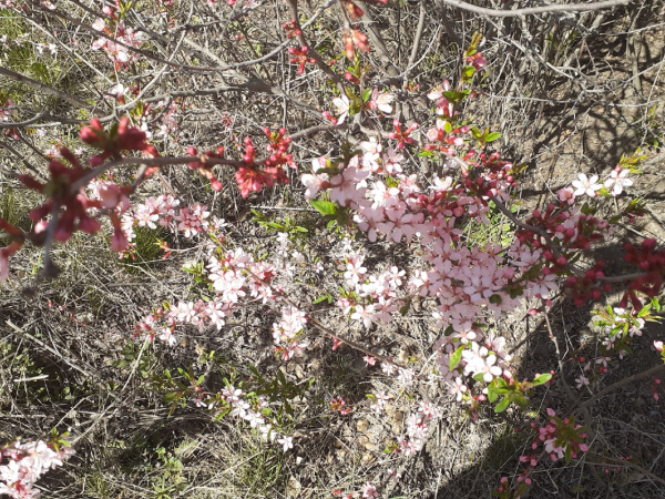 
									Какие тайны скрывает омский Парк Победы? &nbsp;&nbsp;[ФОТО]&nbsp;&nbsp;