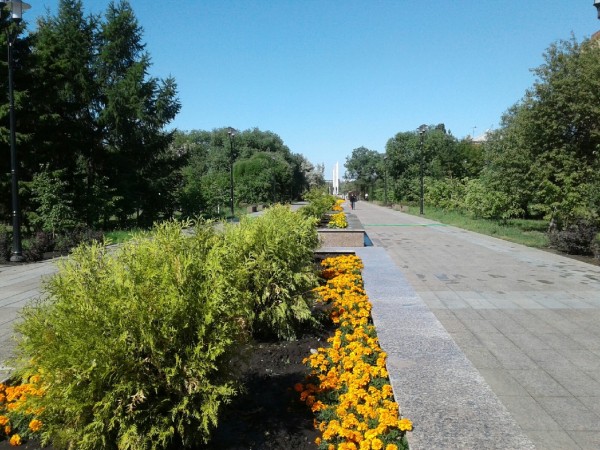 
									Омичам обещают жаркие выходные без осадков 