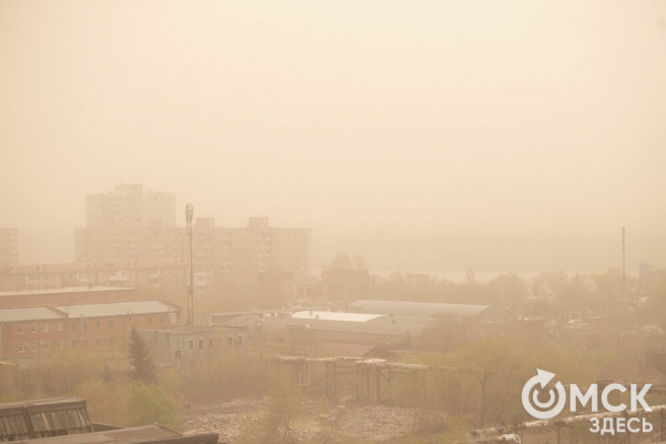 Пыльная буря и остановившиеся пароходы: последствия омской непогоды Пыльная буря и остановившиеся пароходы: последствия омской непогоды