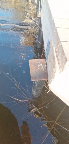 Калачинская «движуха» или что ждет «парк мечты» Мецлера? Калачинская «движуха» или что ждет «парк мечты» Мецлера?